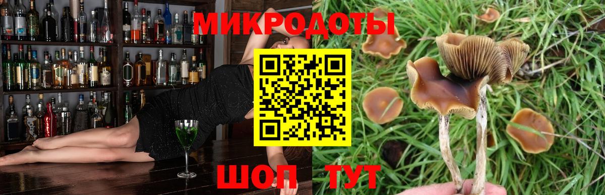 Владивосток  где продают   Вход с VPN  Галлюциногенные грибы Psilocybe 