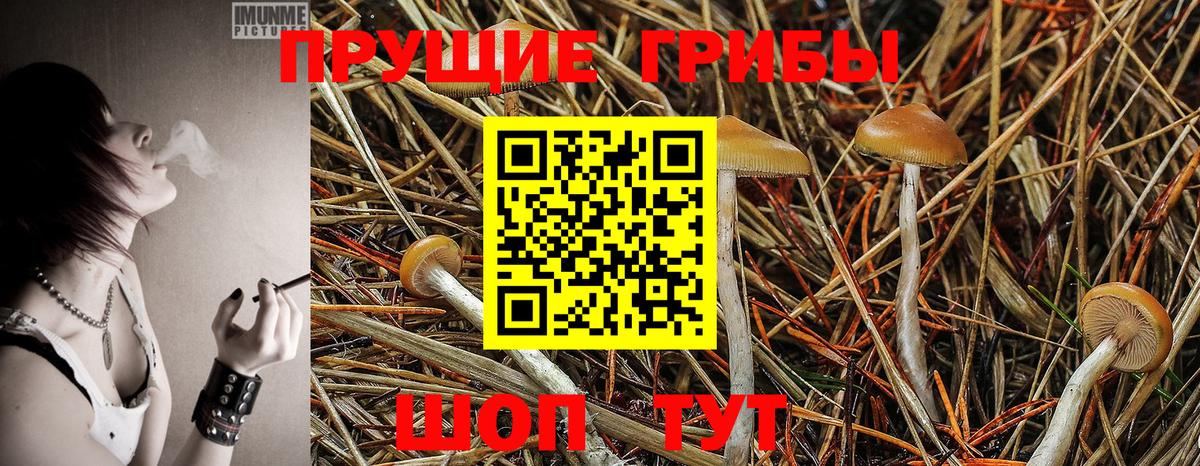 Галлюциногенные грибы GOLDEN TEACHER Владивосток